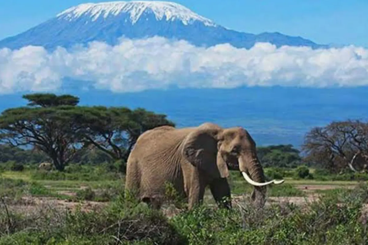 4 Days Kilimanjaro Cultural Tour-2026-2029