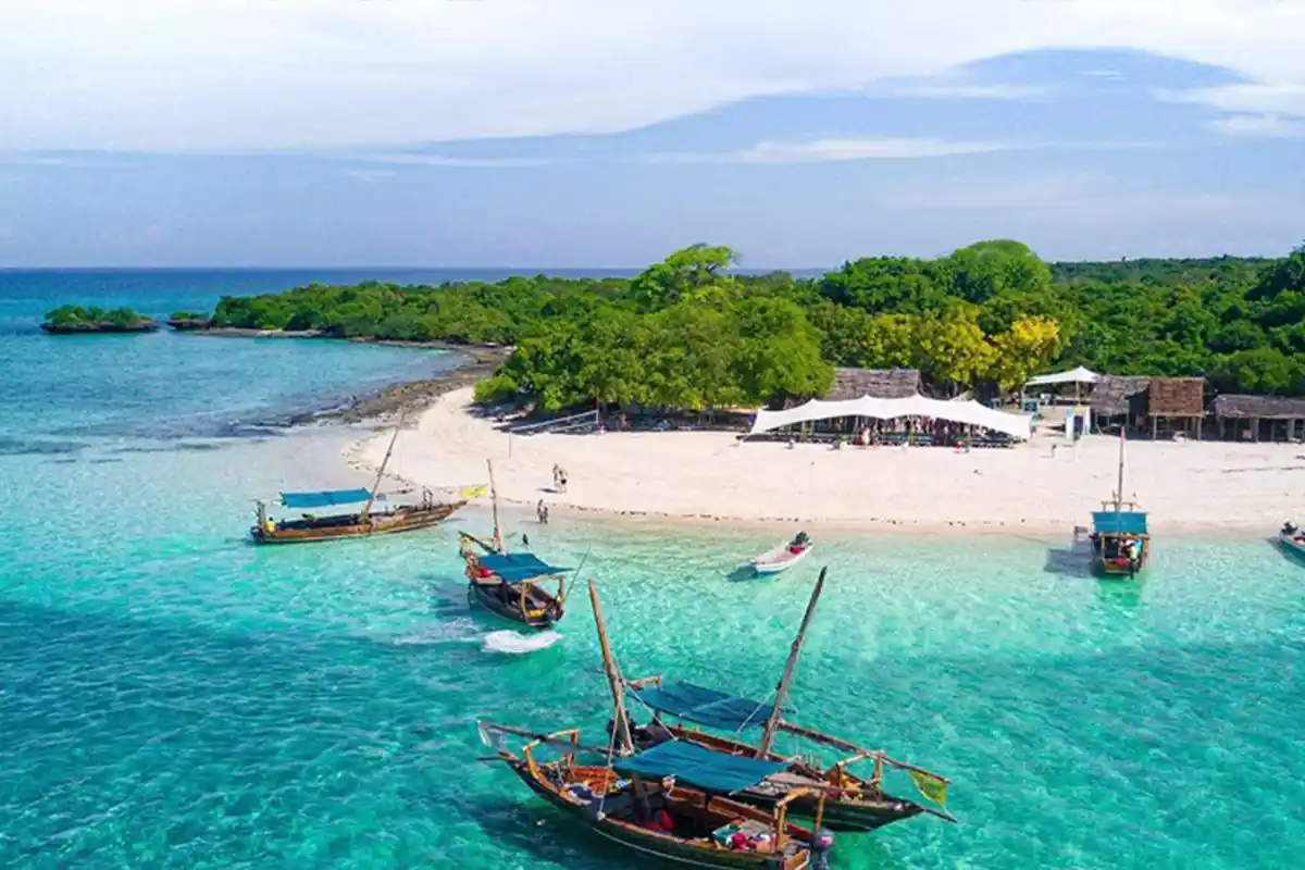 4 Days Luxury Family Safari from Zanzibar