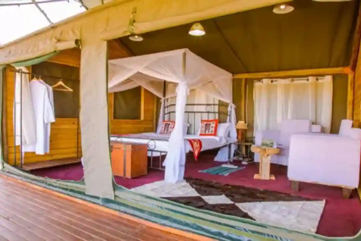 4 Day Mid-Range Lodge Safari