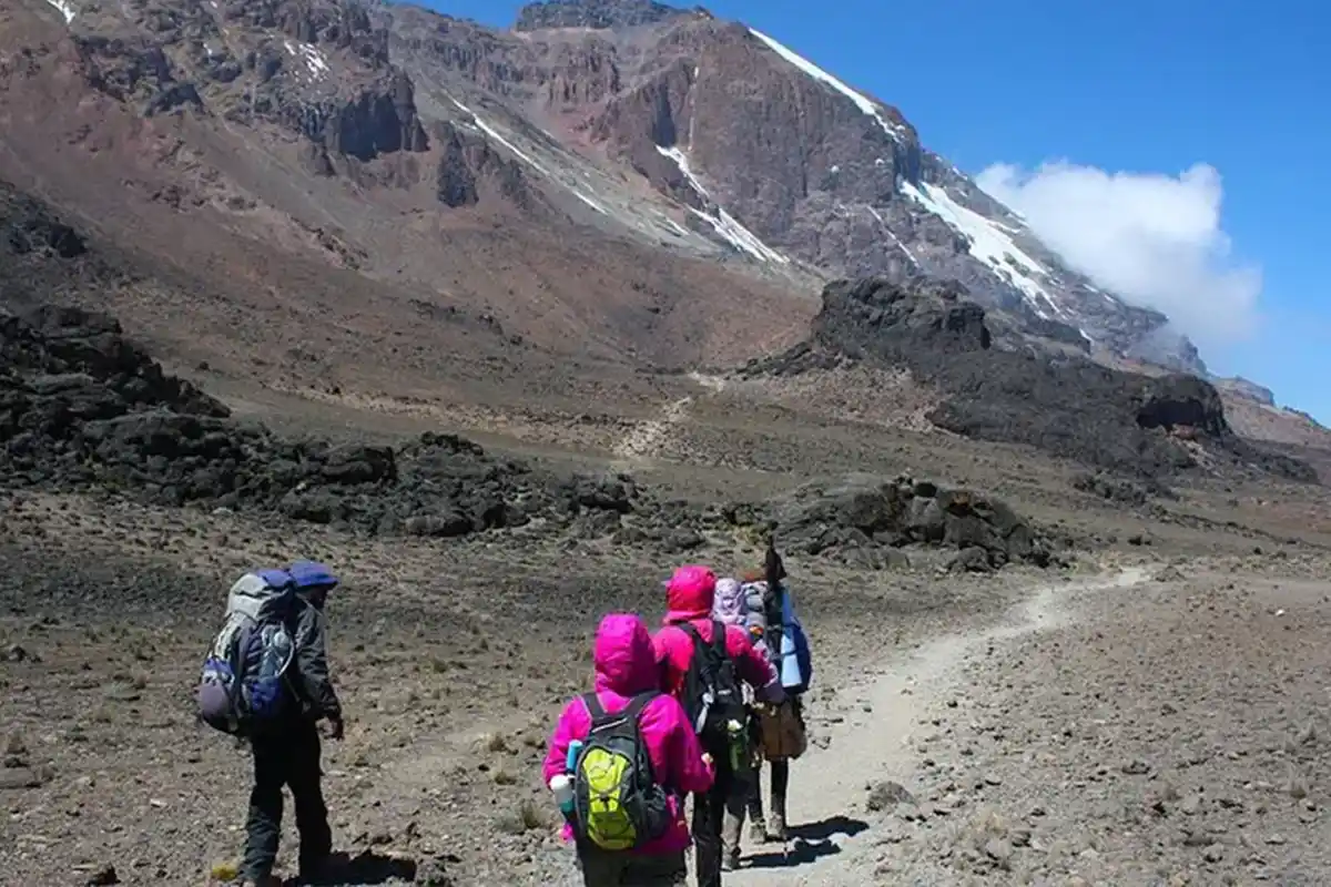 4 Days 3 Night Kilimanjaro Climbing via Rongai Route from Moshi