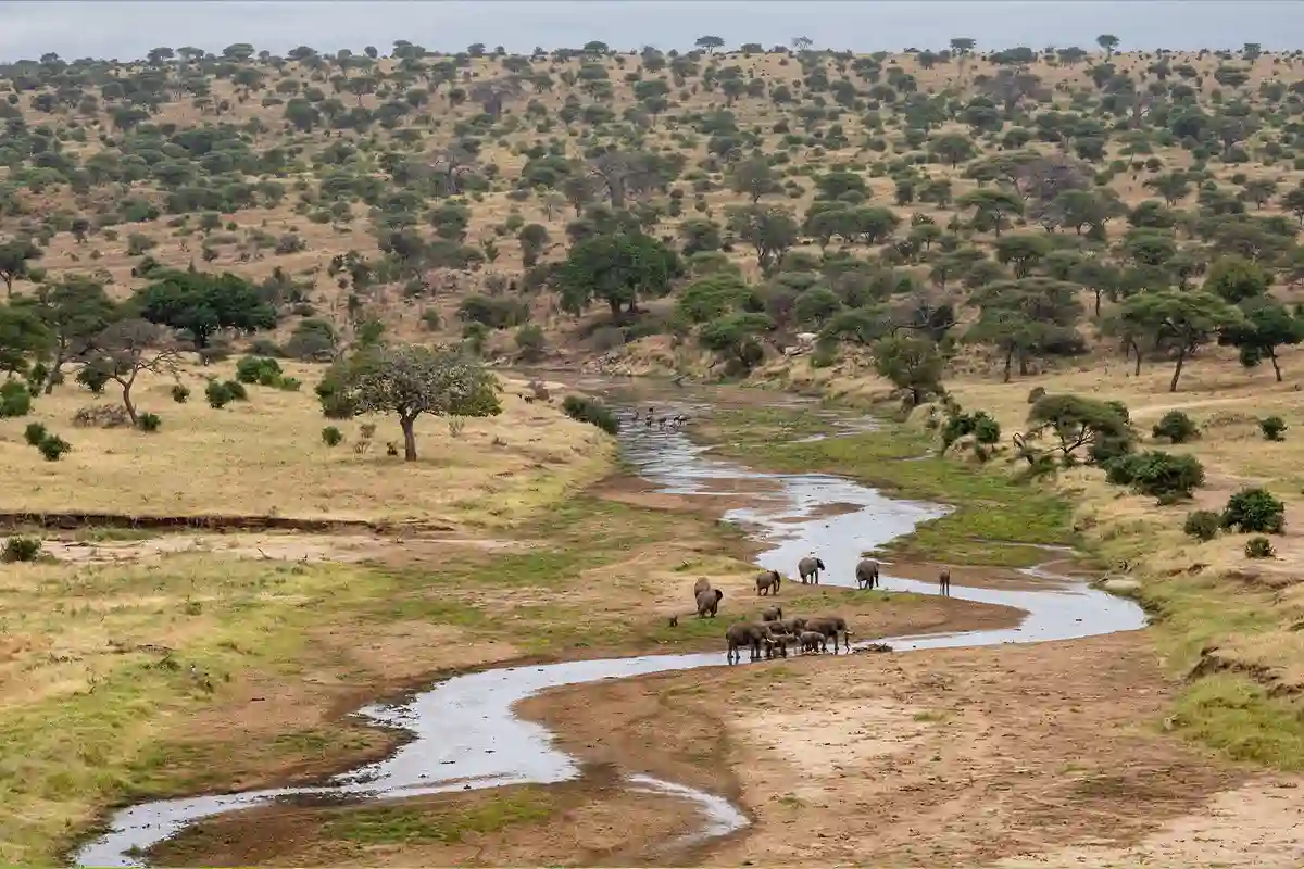 4 Days Culture Luxury Safari from Zanzibar - 4 Day Tanzania Luxury Safari 2026