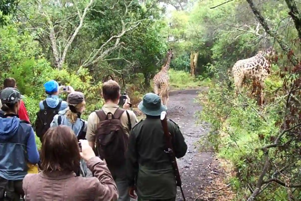 4 Days Family Holidays Safari Starting Arusha