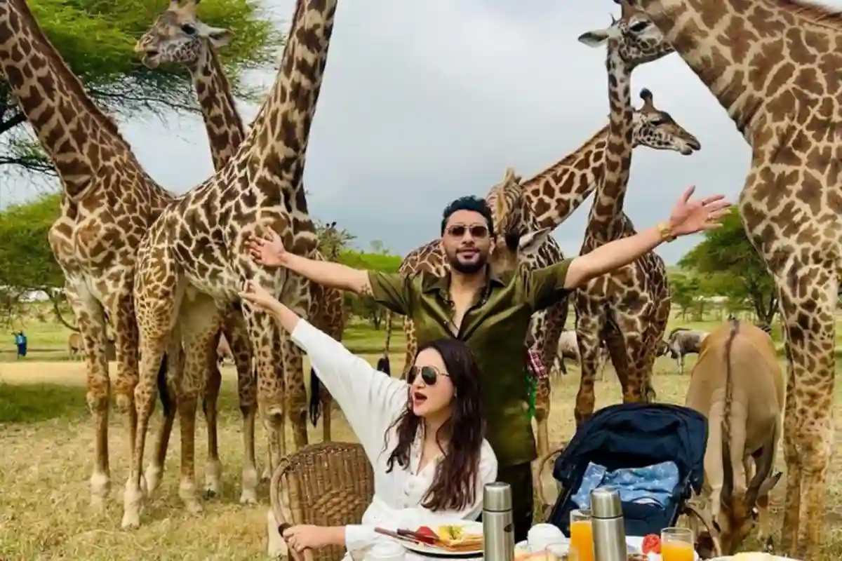 4 Days Family Safari from Moshi