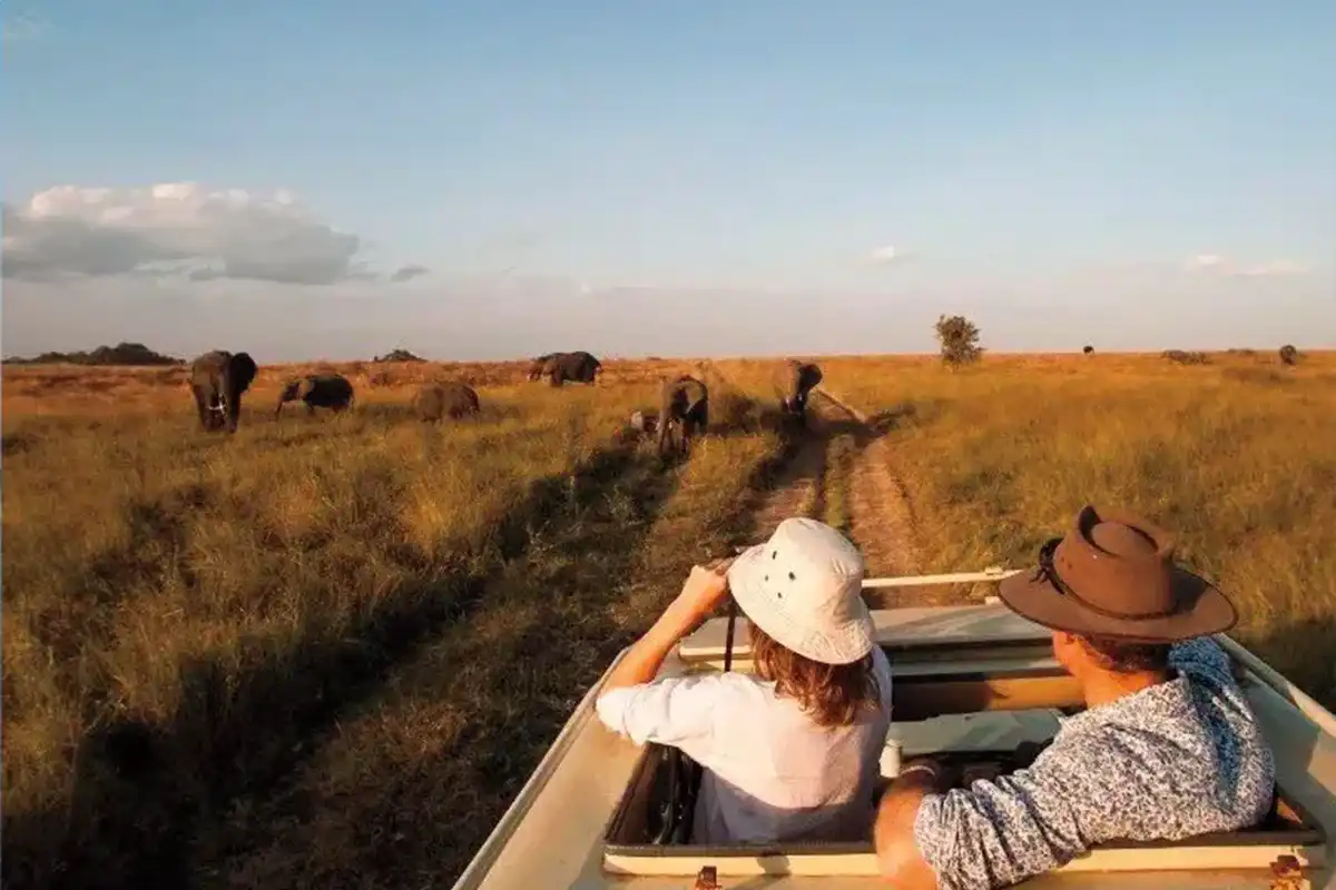 4 Days Honeymoon Safari Northern Circuit - 4 Day Tanzania Honeymoon Safari 2026