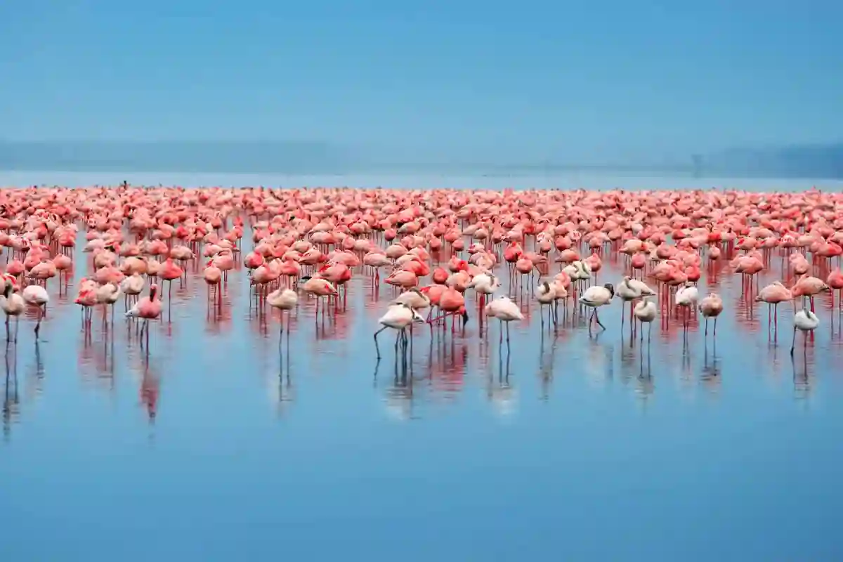 4 Days Lake Eyasi, Serengeti & Ngorongoro Budget Safari