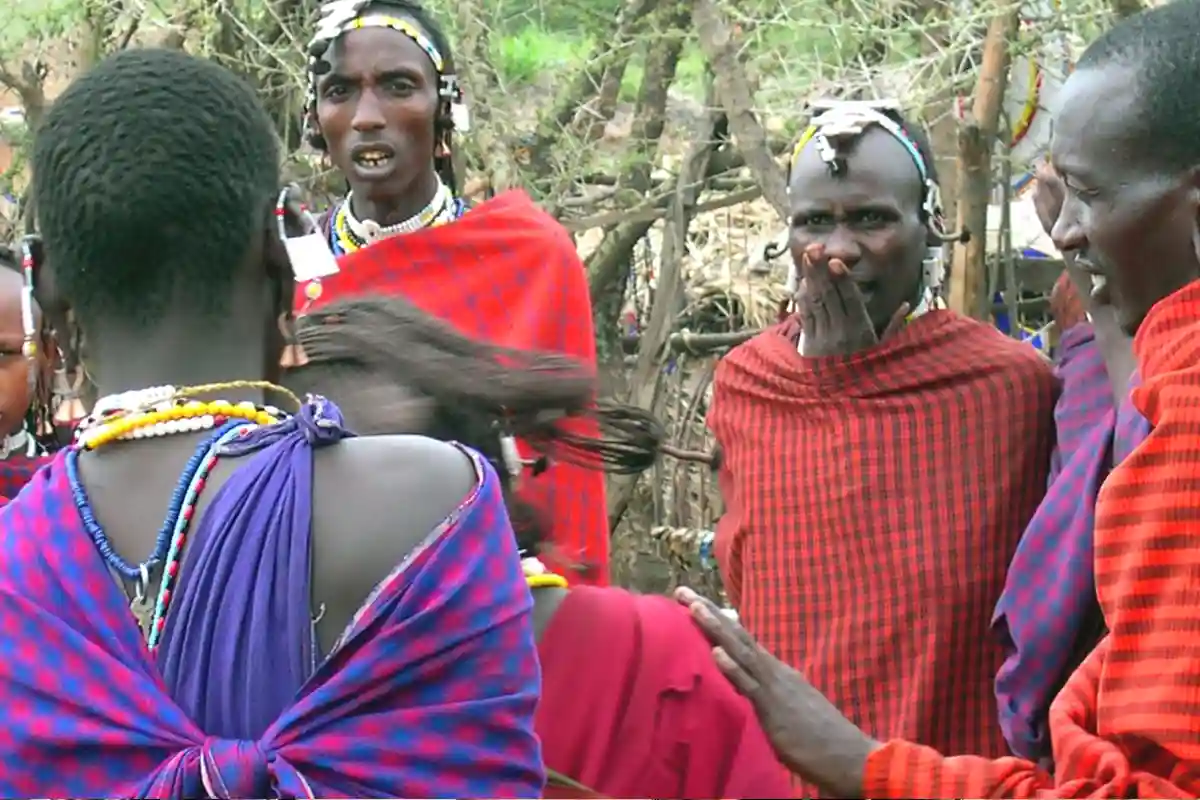 4 Days Luxury Safari & Cultural Experience - 4 Day Tanzania Luxury Safari 2026