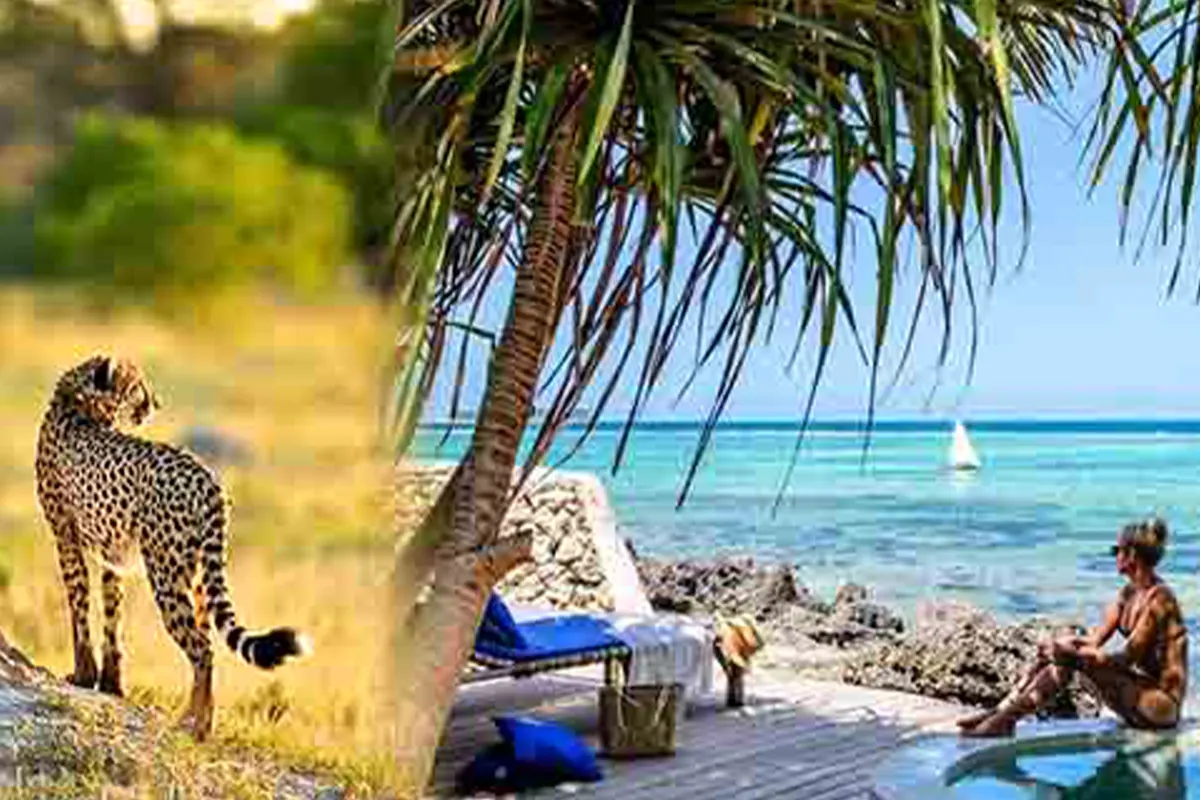 4 Days Luxury Safari from Zanzibar - 4 Day Tanzania Luxury Safari 2026