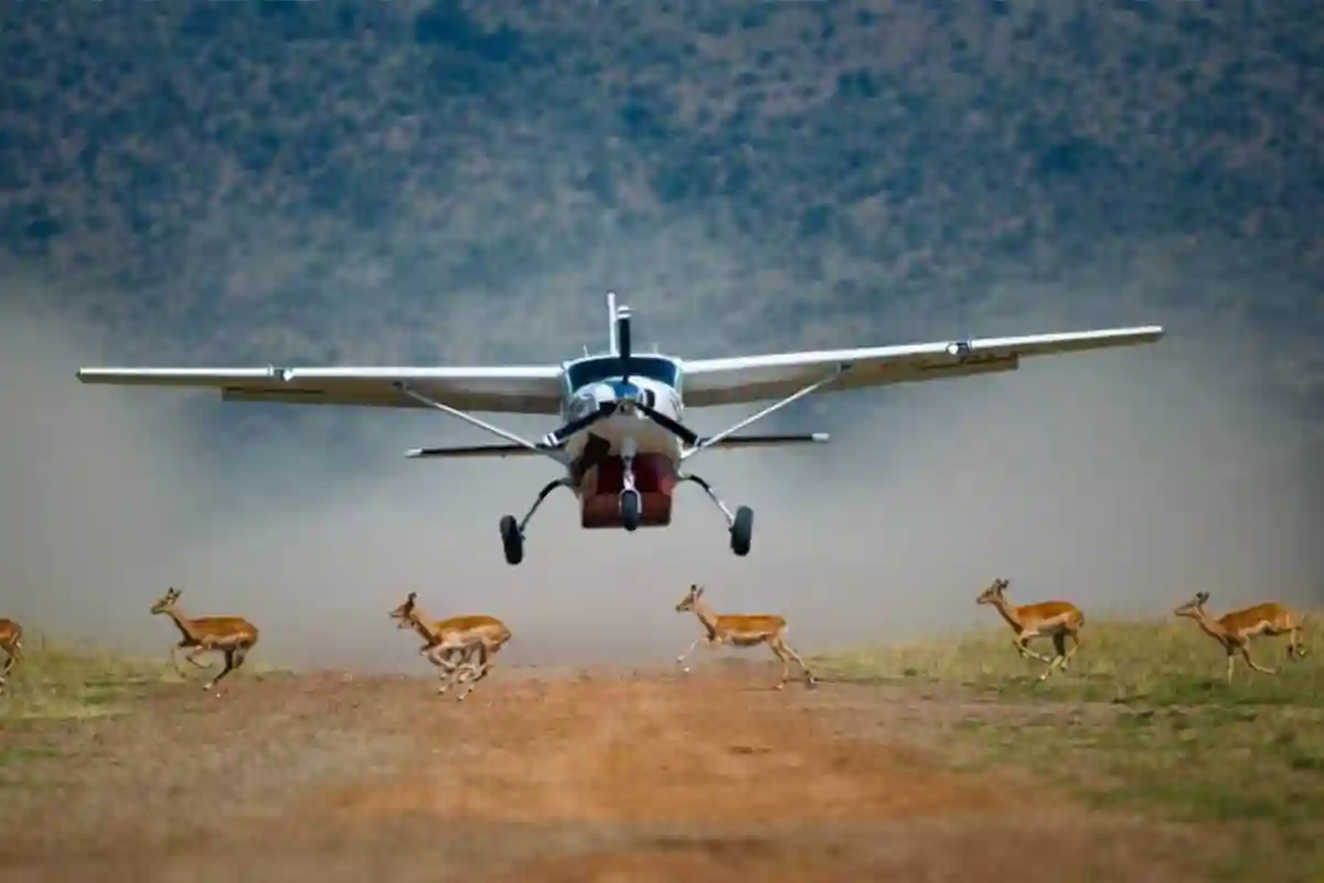 4 Days Luxury Serengeti Fly-in Safari