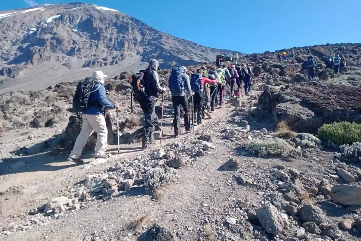 4 Days Kilimanjaro Trekking via Machame Route