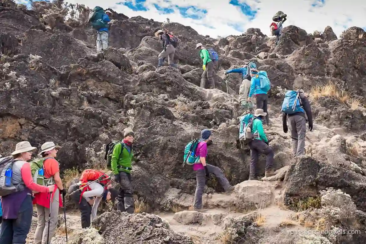 Kilimanjaro trekking and climbing adventure