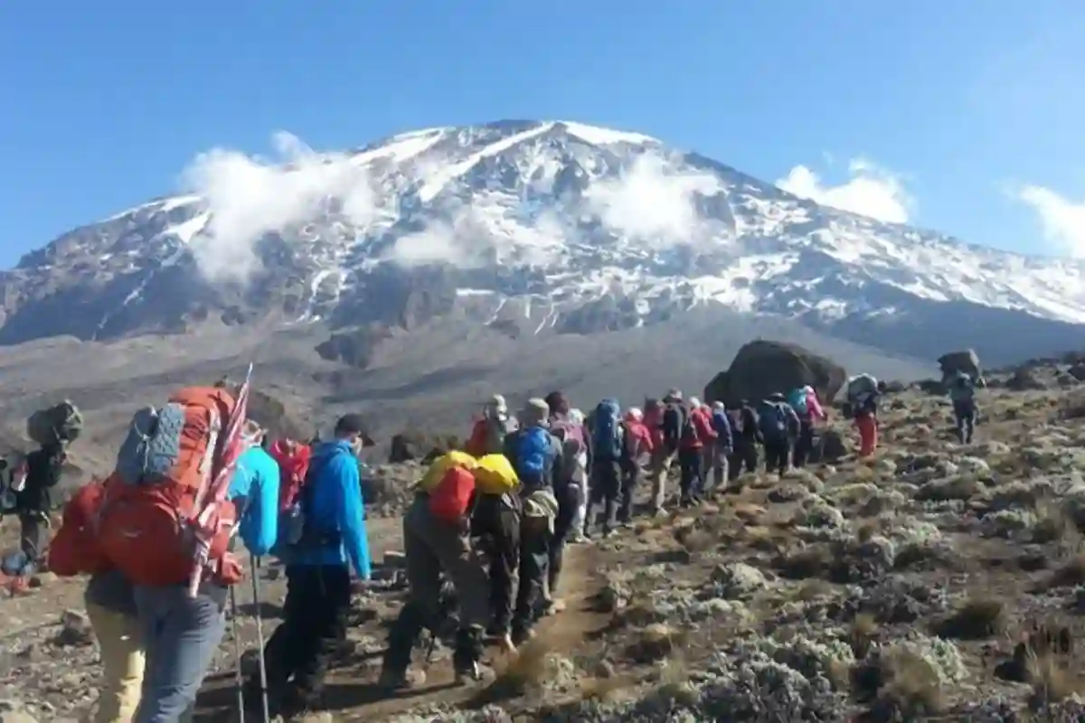 4 Days Safari Kilimanjaro Trek