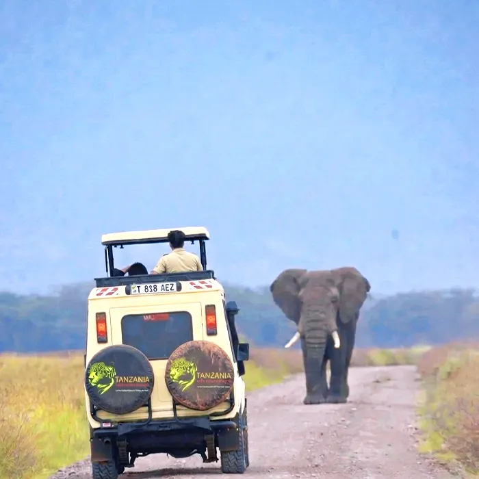 Tanzania Safari Source Tours - 4 day safari specialists