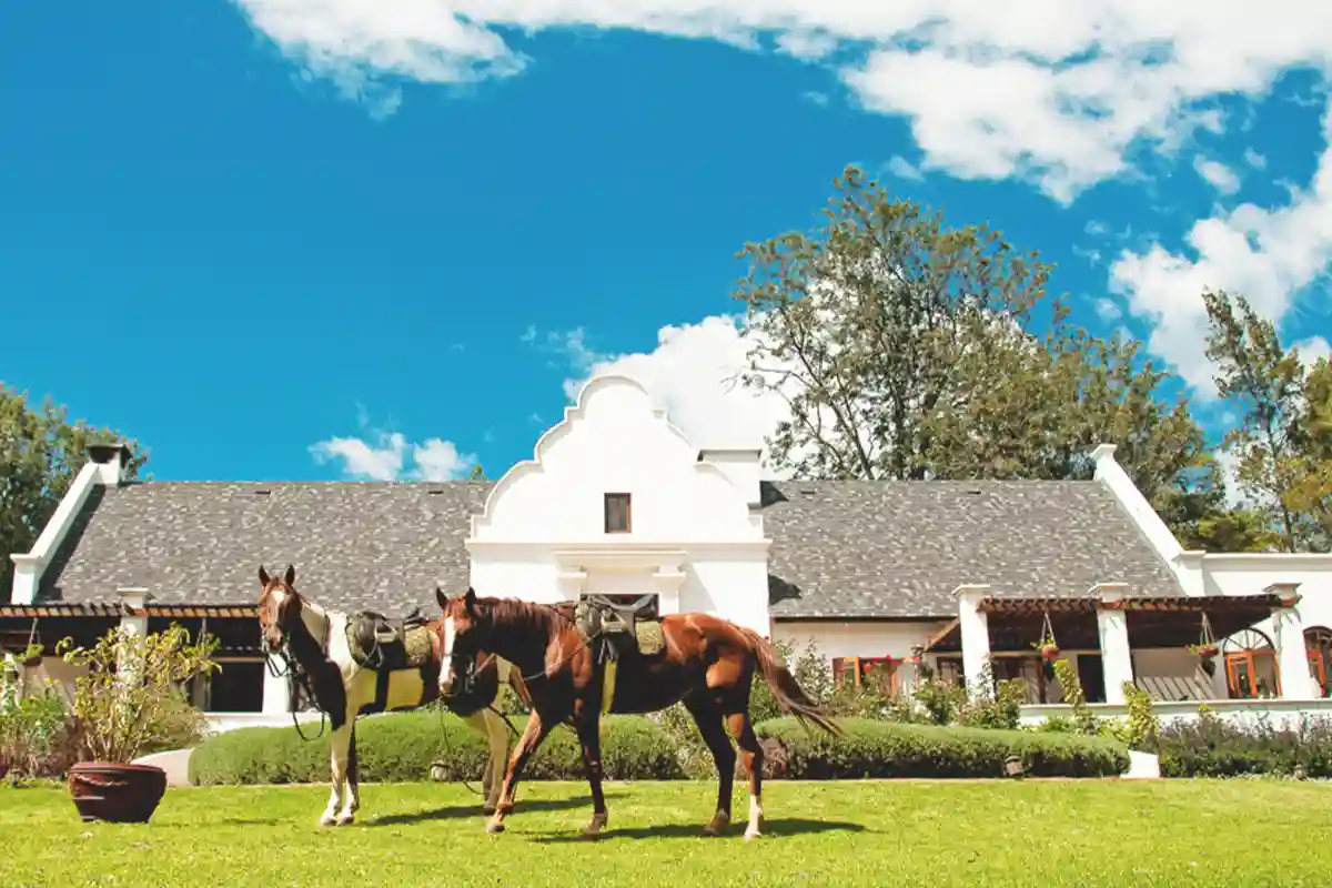 Gibb's Farm Lodge