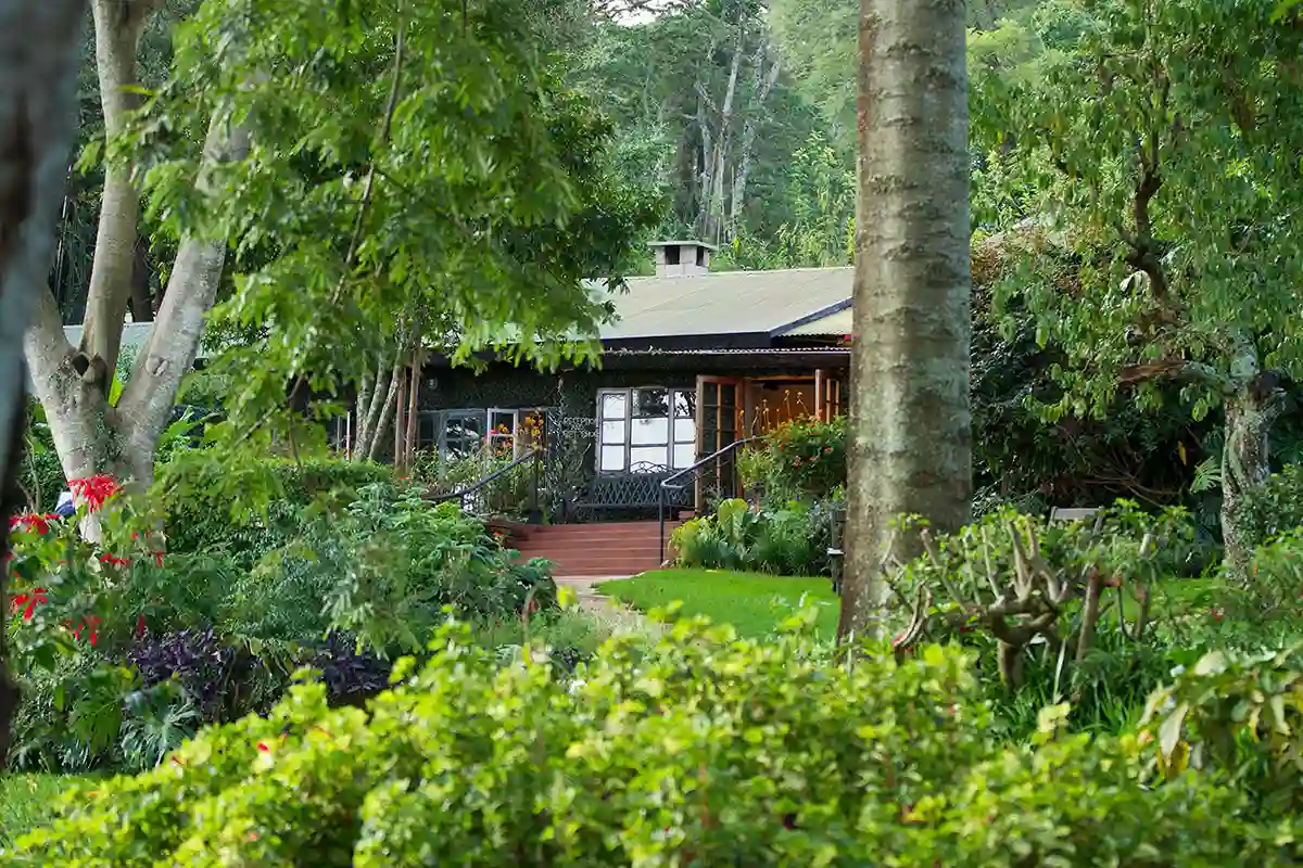 Gibb's Farm Lodge
