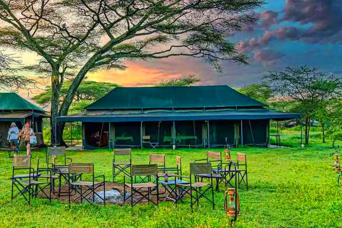 Ndutu Safari Lodge Luxury Tented Camp for Honeymooners