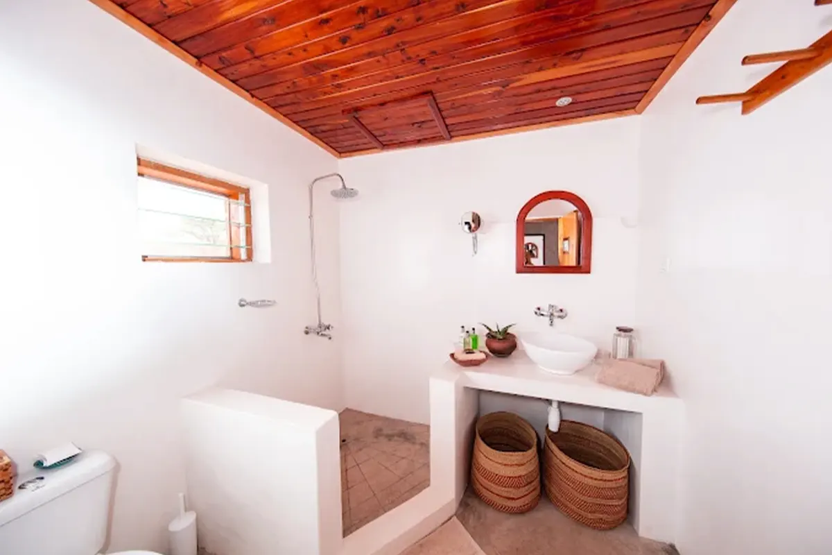 Ndutu Wilderness Camp