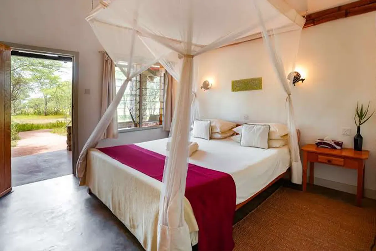 Ndutu Safari Lodge
