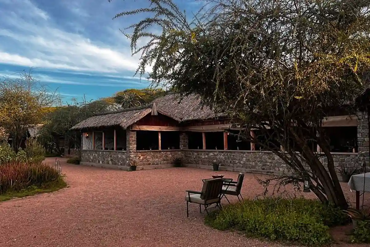Ndutu Safari Lodge for Families