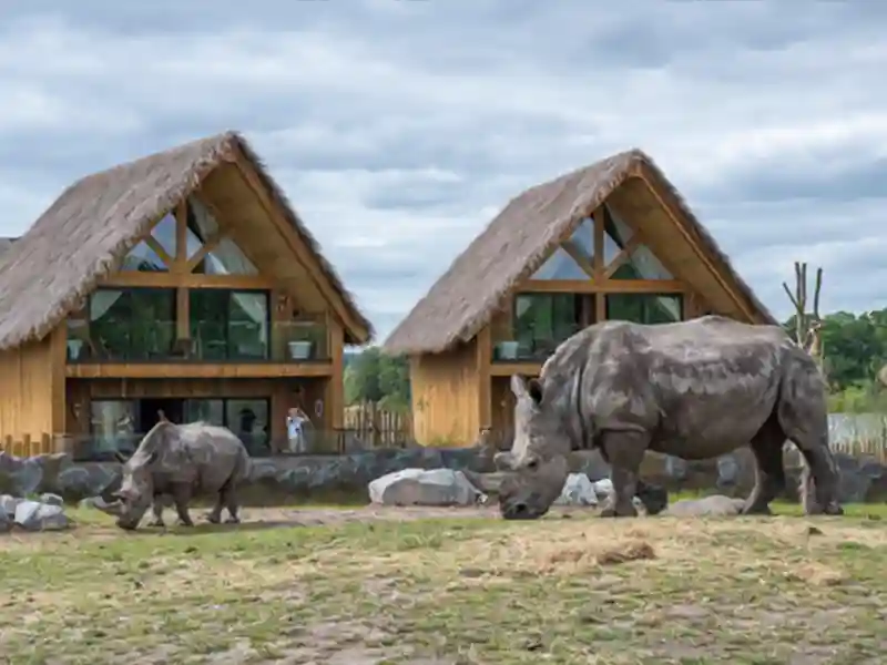 Rhino Lodge Ngorongoro exterior