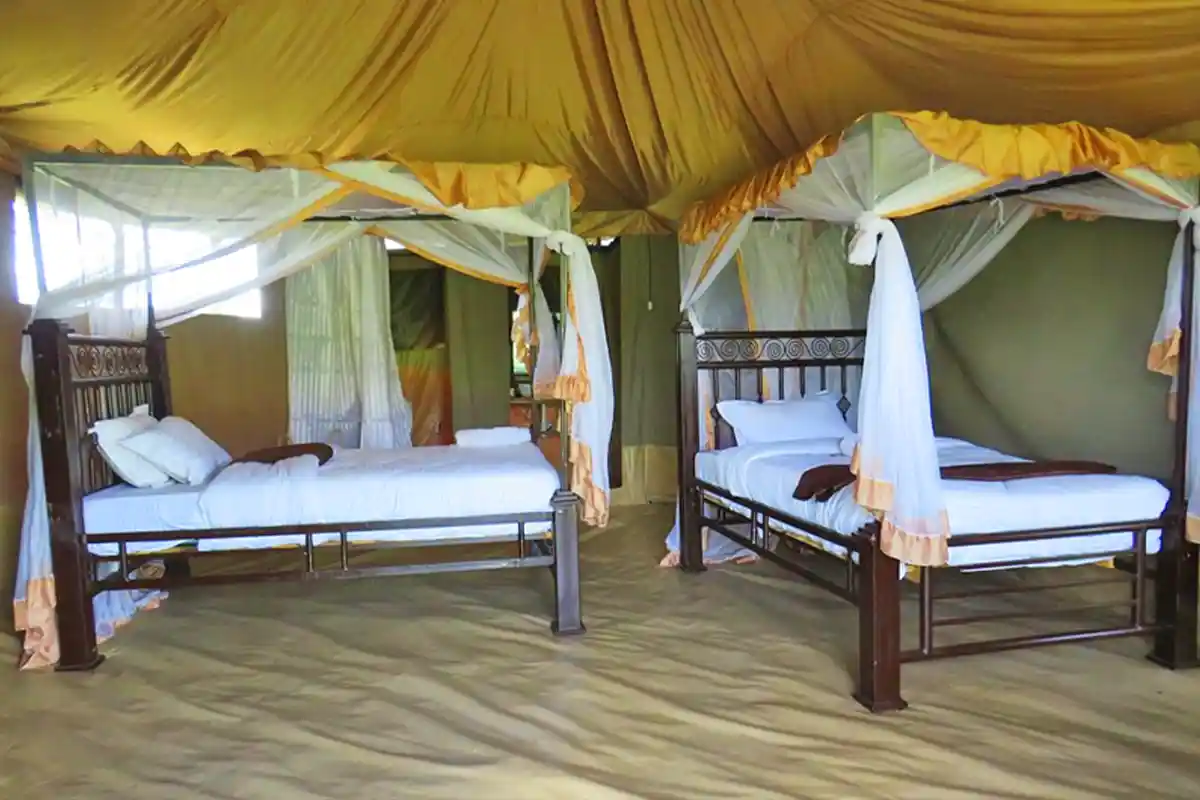 Robins Serengeti Camp