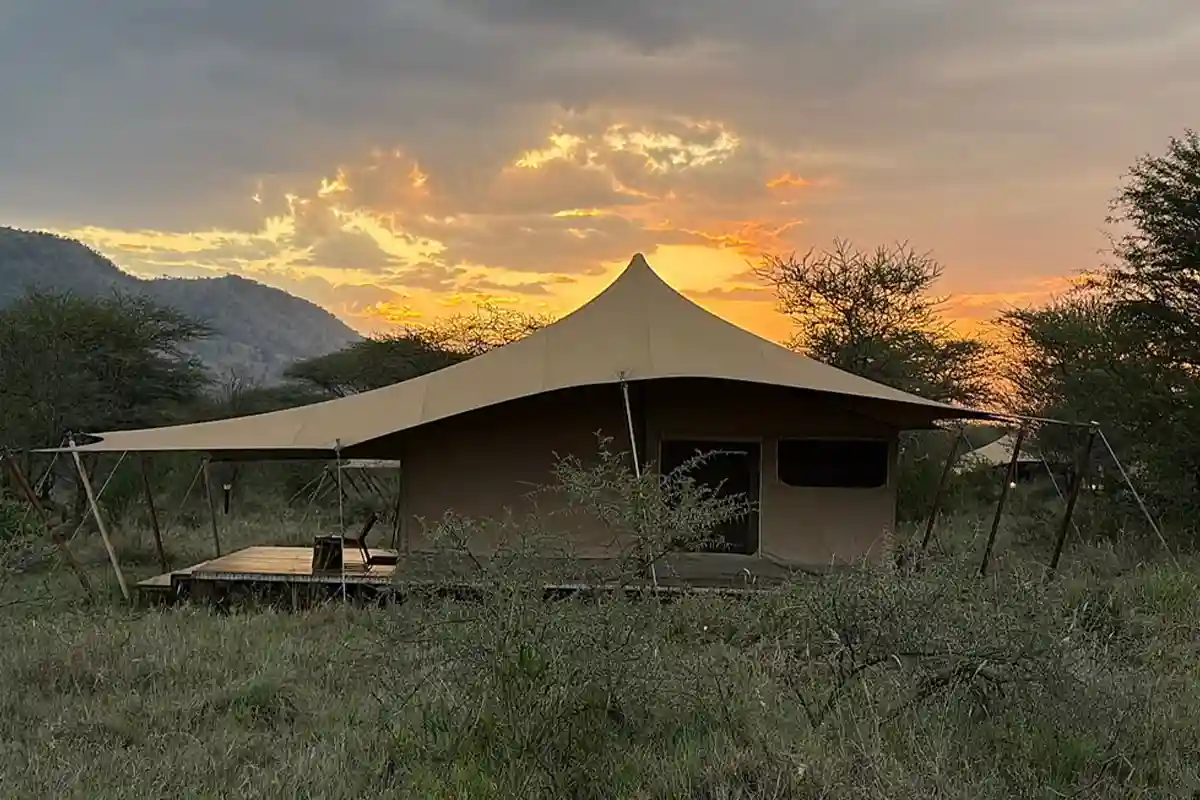 4 days Big Five joining safari Tanzania - Serengeti Acacia Camp