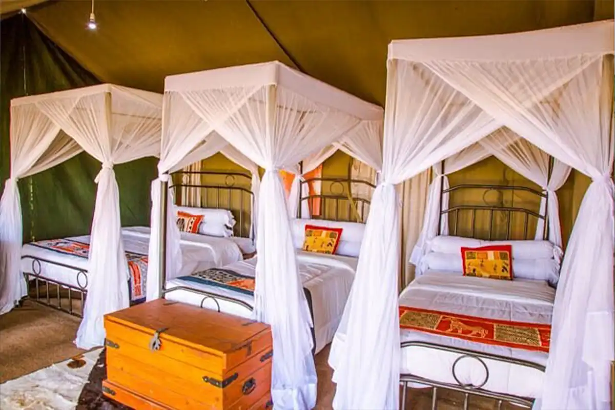 4 days joining safari Tanzania - Serengeti heritage camp