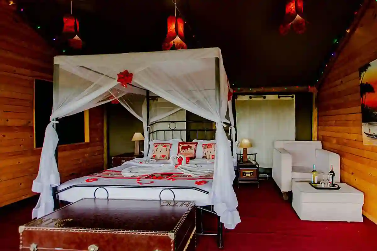 4 days family-friendly joining safari - Family game drive