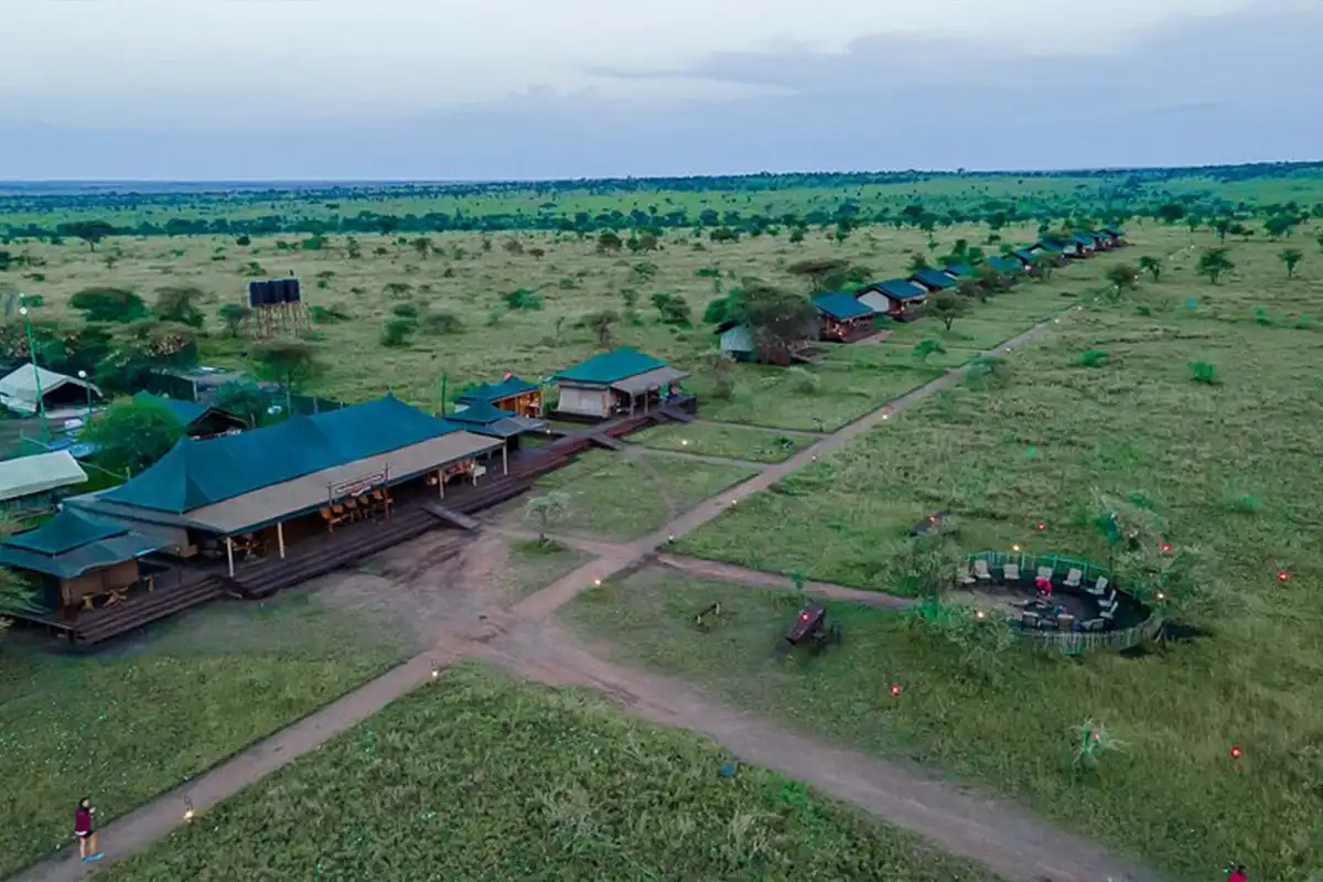 4 days joining safari Tanzania - Serengeti tented camp