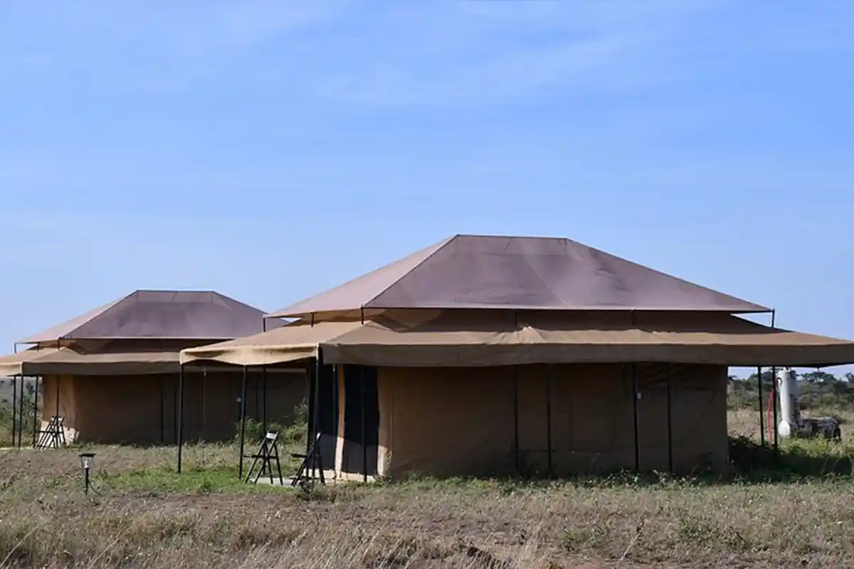 Serengeti Wildebeest Camp