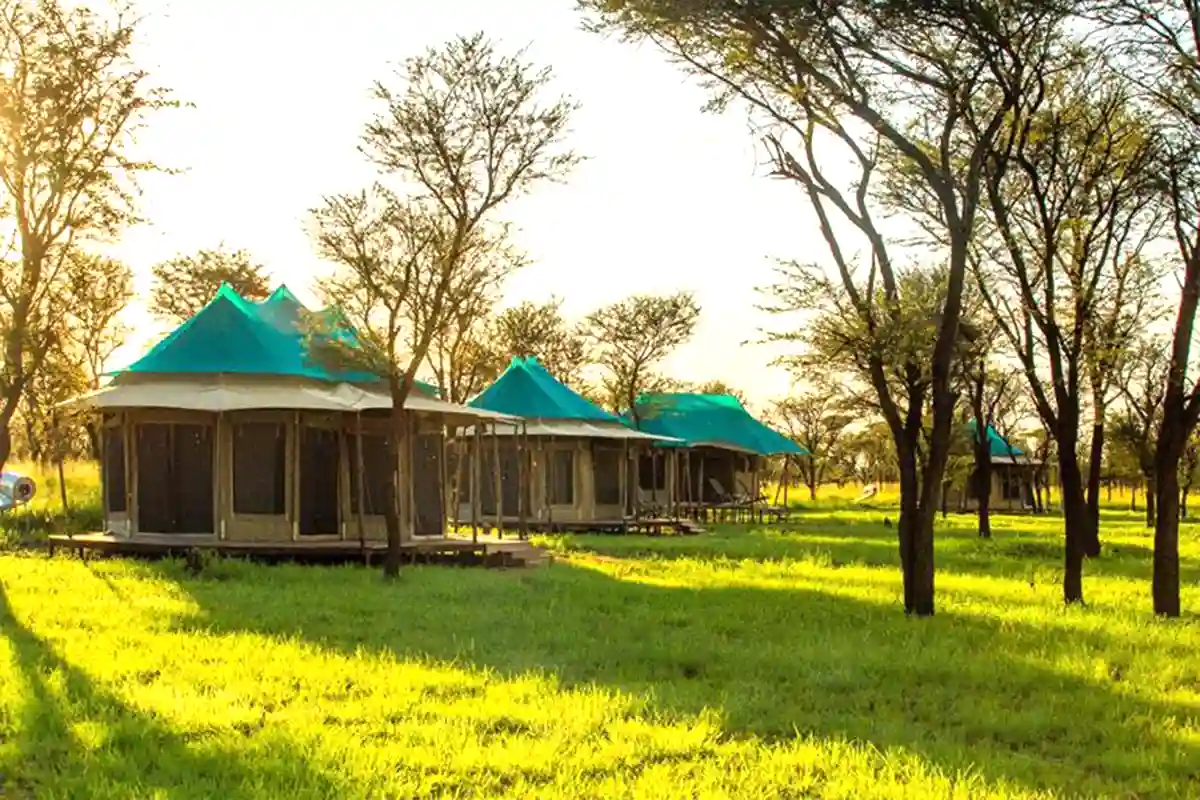Migration Safari Camp Serengeti