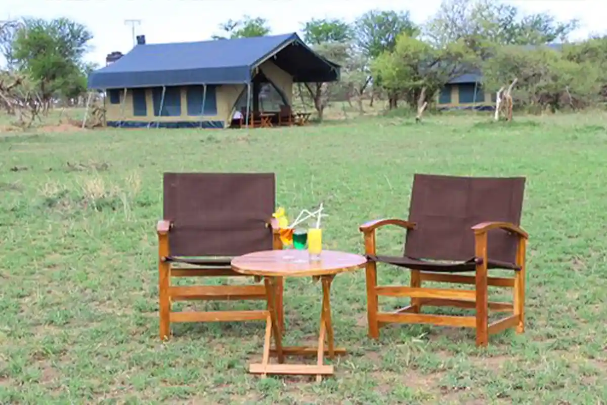 Serengeti Plains