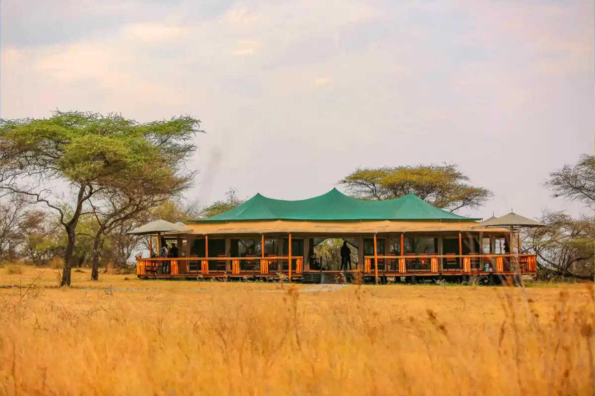 4 days safari Tanzania - Serengeti luxury camp
