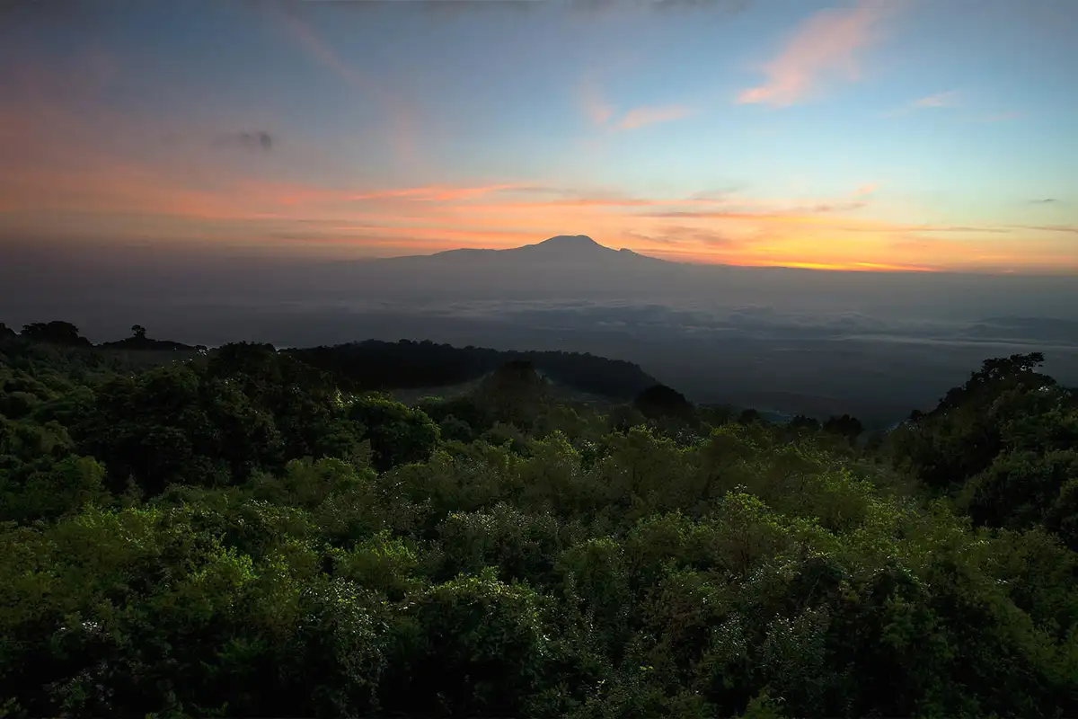 Arusha National Park - Landscape