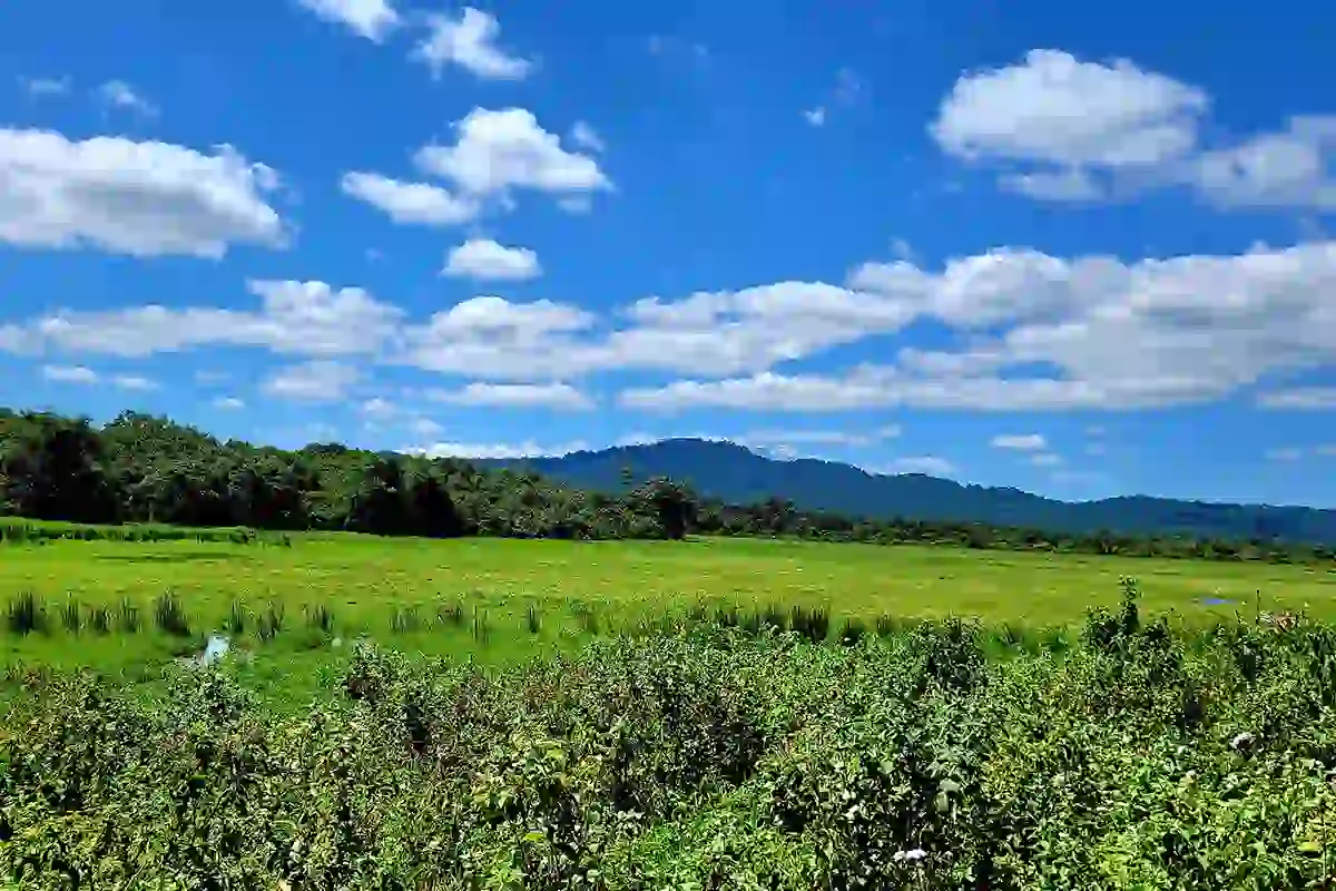 Arusha National Park - Landscape
