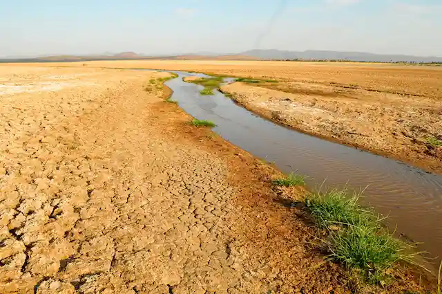 Lake Eyasi and Hadza - Activities