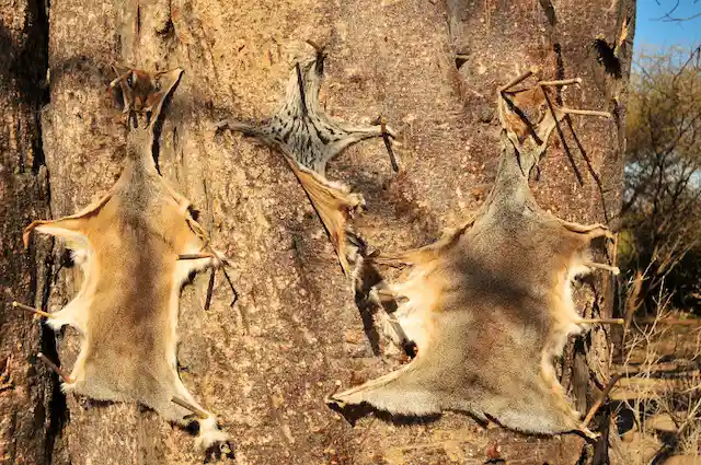 Lake Eyasi and Hadza - Activities