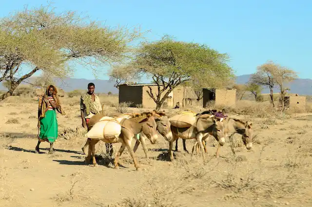 Lake Eyasi and Hadza - Activities
