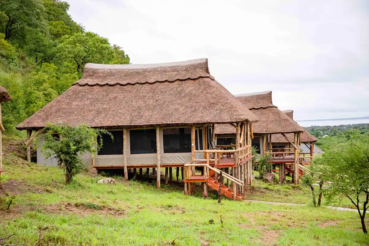Tanzania Lodge Safari Hero