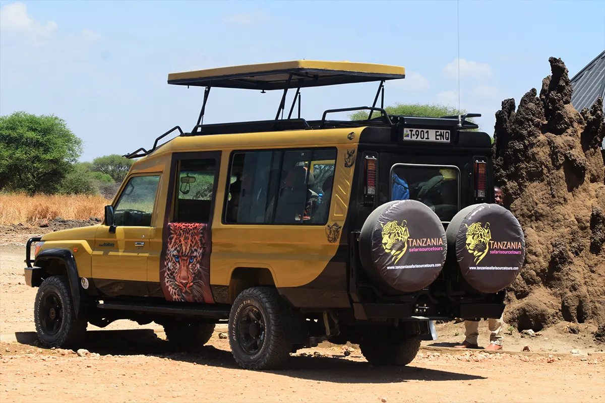 Affordable Wildebeest Migration Safari Hero