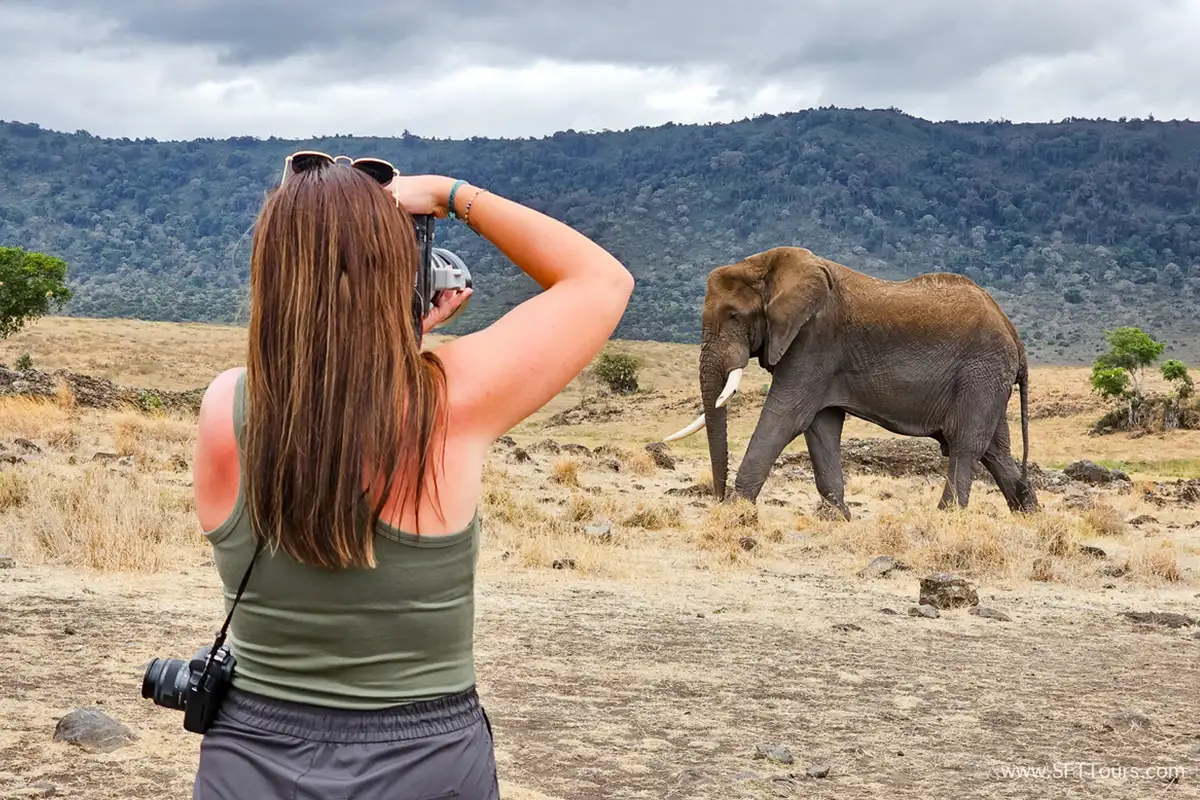 Budget Safari for Solo Travelers Tanzania - Affordable Group Safari Adventure