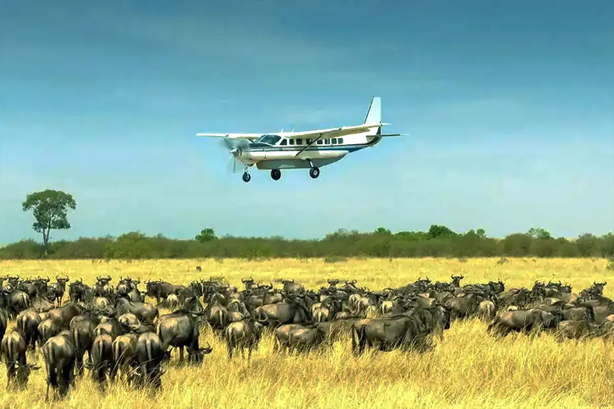 Fly-in Great Migration Safari Hero