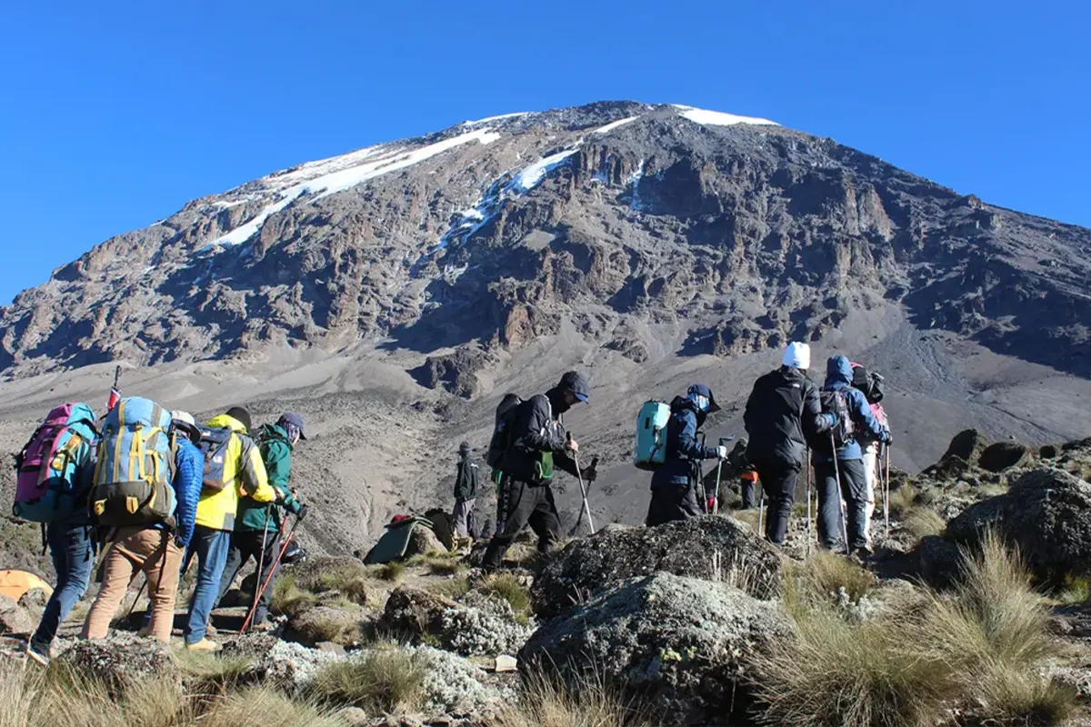 4 Days Kilimanjaro Rongai Route from Moshi