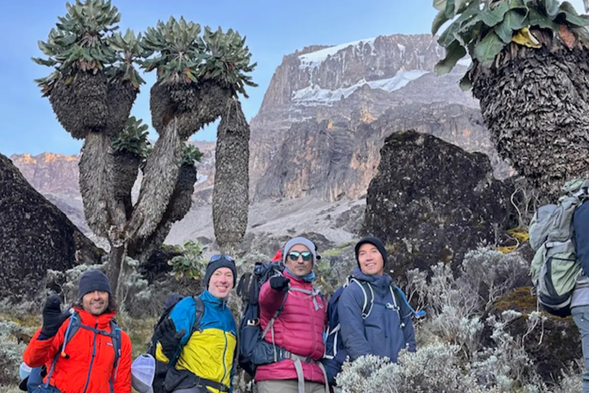 4 Days Kilimanjaro Short Trek via Machame Route