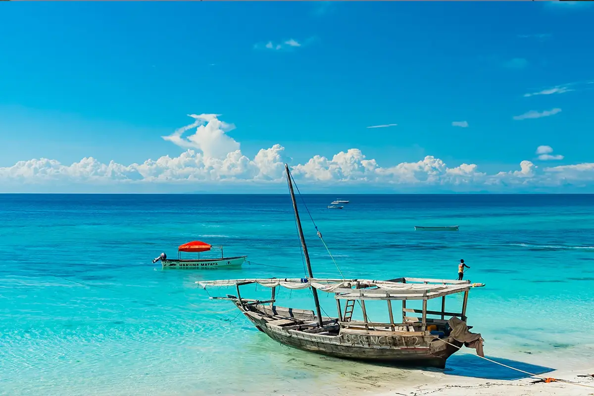 Luxury Family Safari from Zanzibar Hero