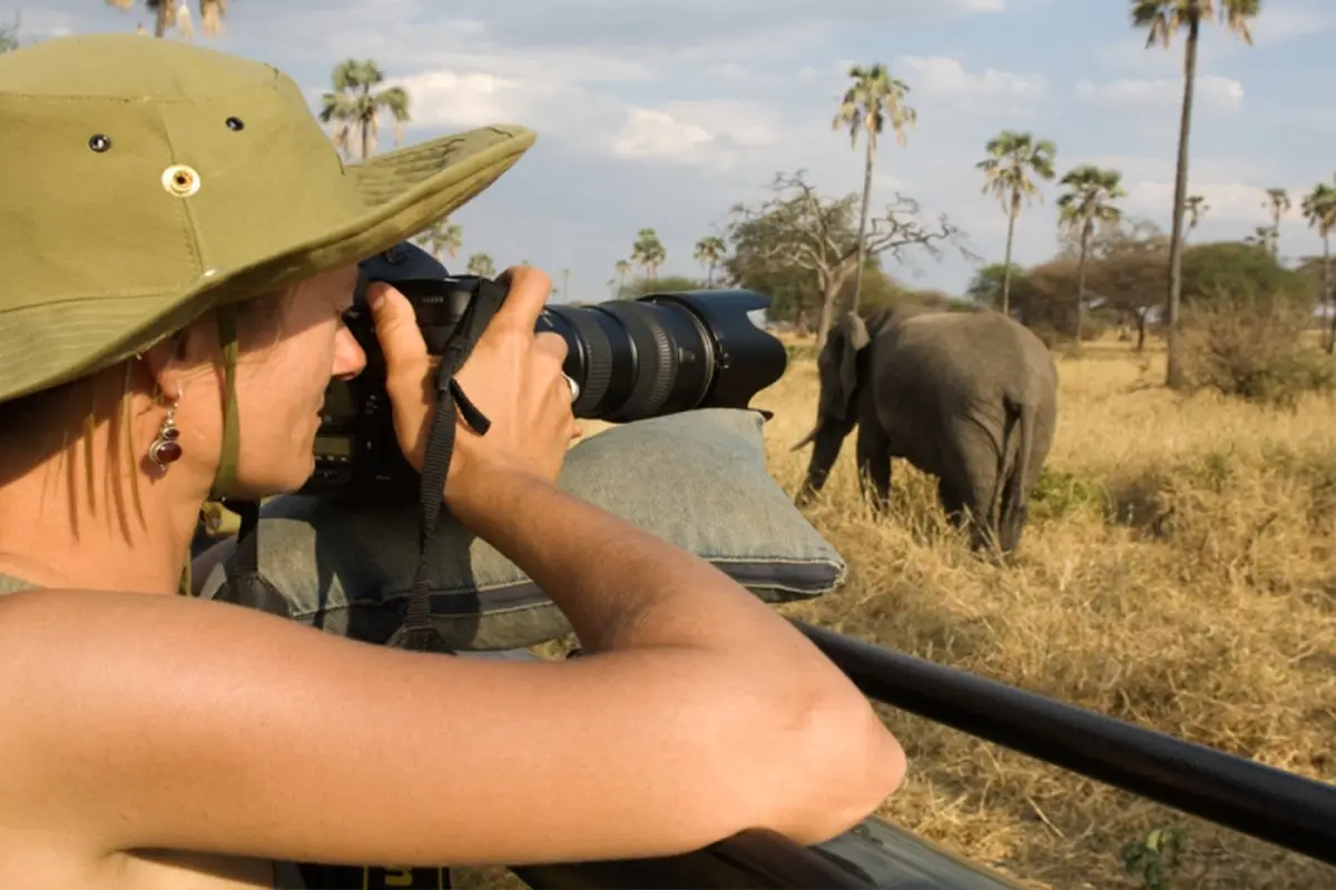 Tarangire & Serengeti Focus Safari Hero