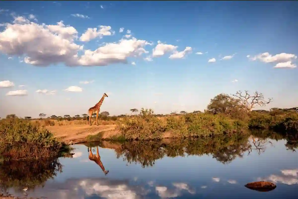 Tarangire, Serengeti & Ngorongoro Safari Hero
