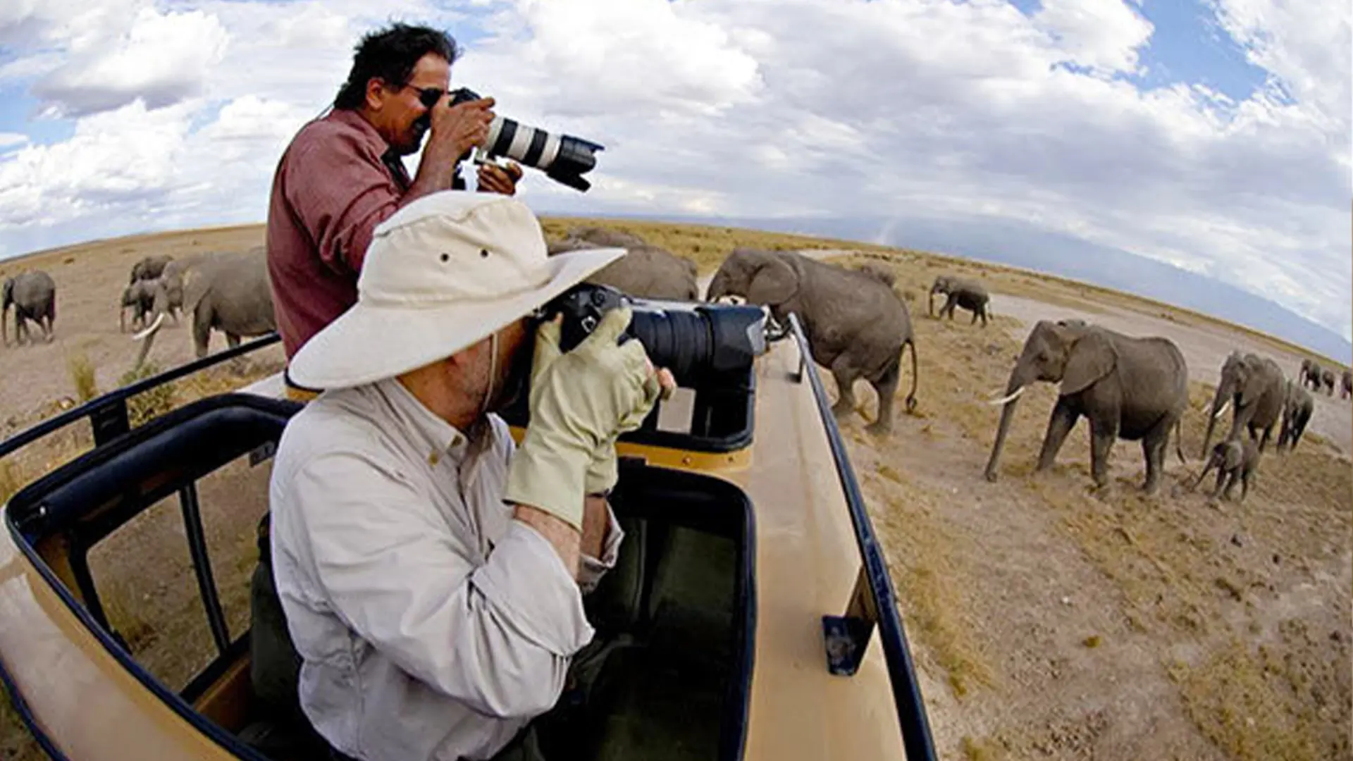 4 Days Ndutu Calving Season Photography Safari Hero