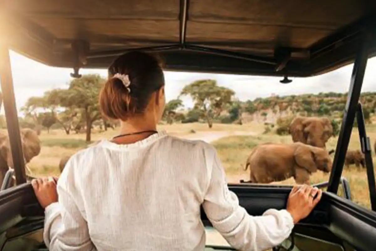 Private Safari for Solo Traveler Tanzania - Exclusive Vehicle & Personal Guide