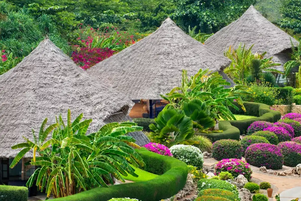 Zanzibar Culture & History Tour - Stone Town Heritage