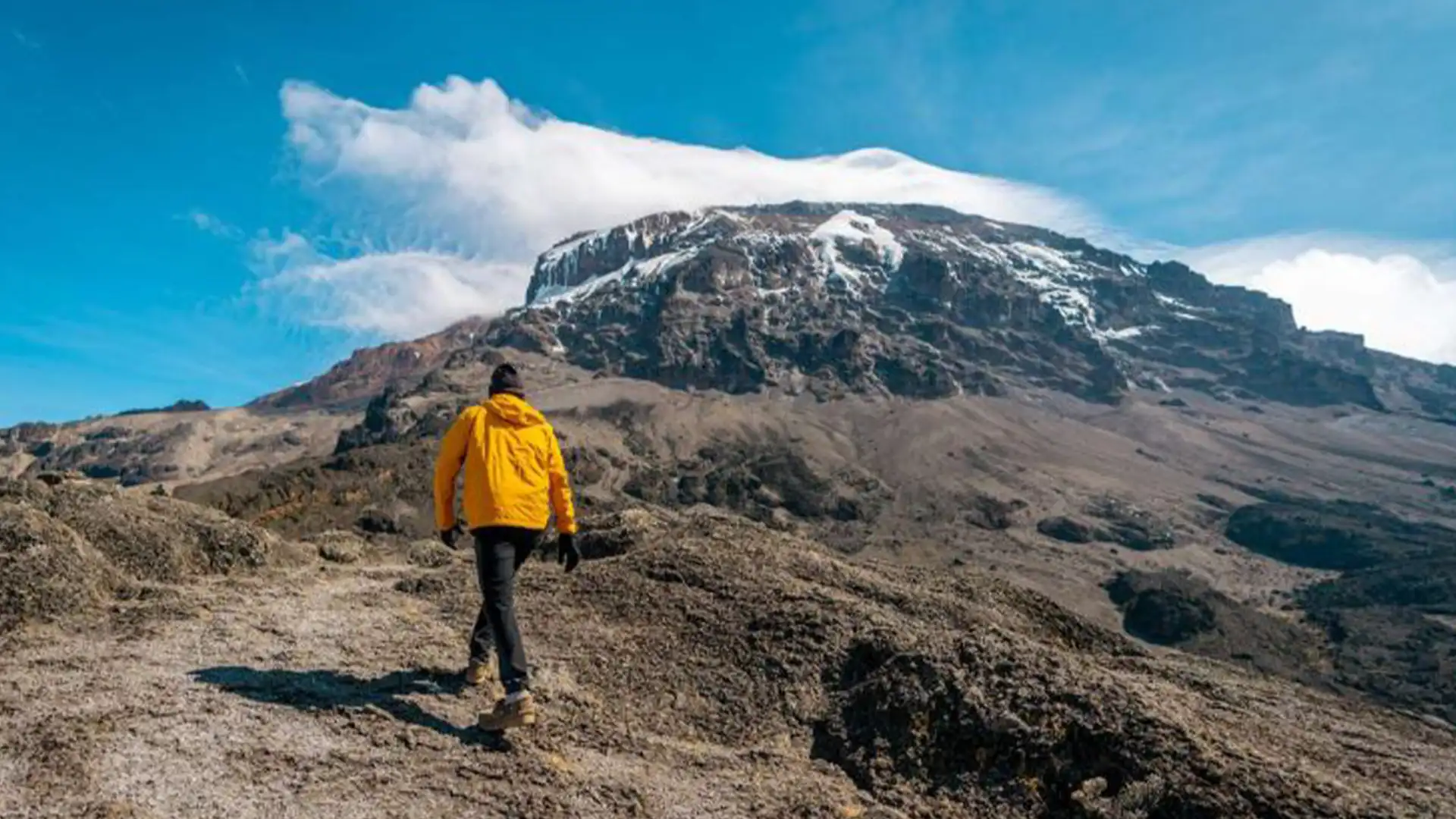 Affordable Kilimanjaro climbing from Moshi - Mount Kilimanjaro summit